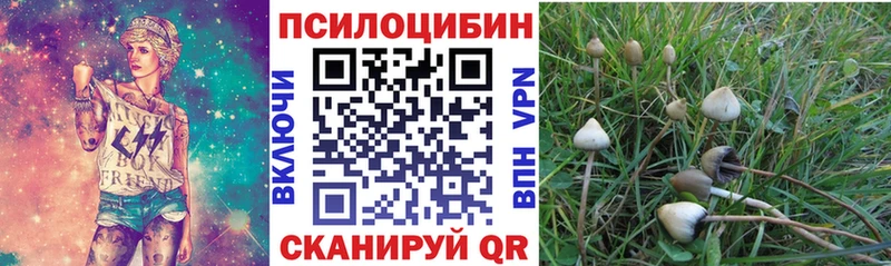 Псилоцибиновые грибы Psilocybe Мураши